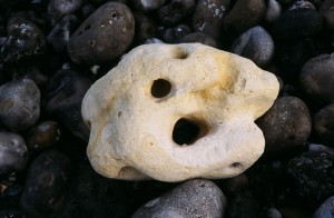 Au delà de l'eau : Exposition 11