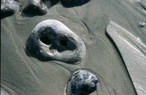 Au delà de l'eau : Exposition 5