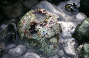 Au delà de l'eau : Exposition 6