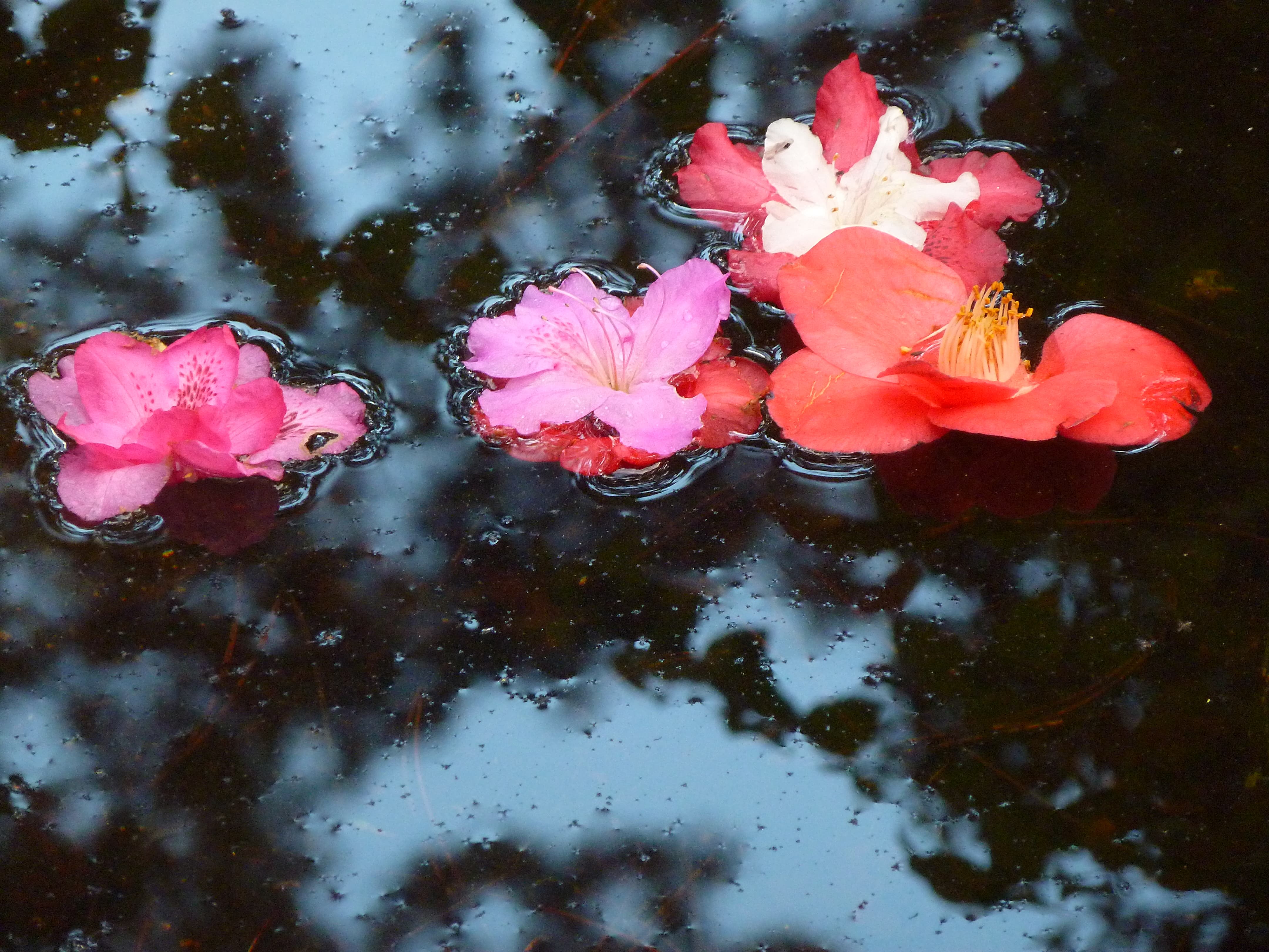 Au delà de l'eau : Exposition 45