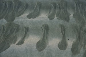 Au delà de l'eau : Exposition 9