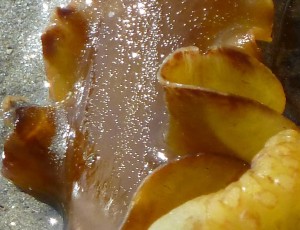 Au delà de l'eau : Exposition 47