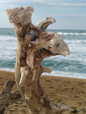 Au delà de l'eau : Exposition 39