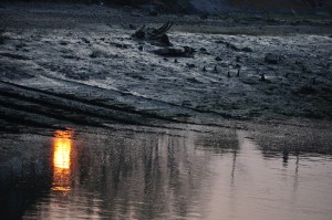 Au delà de l'eau : Exposition 20