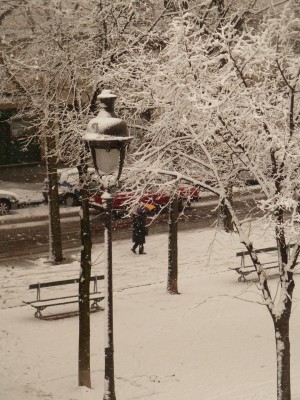 Bassin de la Villette et canal de l'Ourcq 31