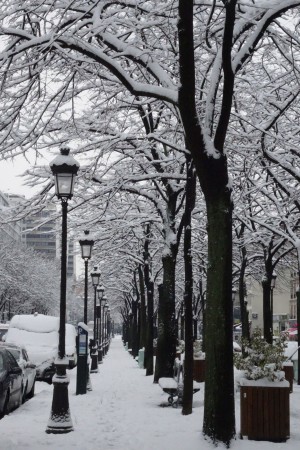 Bassin de la Villette et canal de l'Ourcq 8
