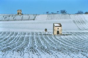 Limagne d'Auvergne 1