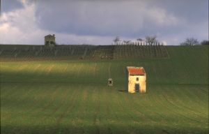 Limagne d'Auvergne 9