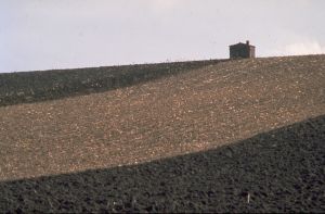 Limagne d'Auvergne 24