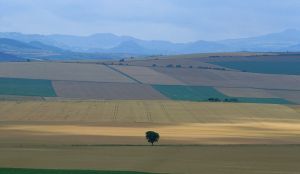 Limagne d'Auvergne 13