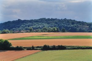 Limagne d'Auvergne 6