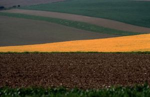 Limagne d'Auvergne 25