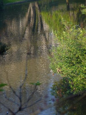 Parc des Buttes Chaumont 121