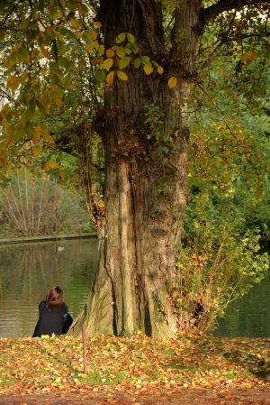 Parc des Buttes Chaumont 68