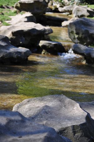 Parc des Buttes Chaumont 82