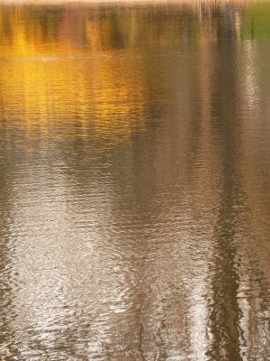 Parc des Buttes Chaumont 139