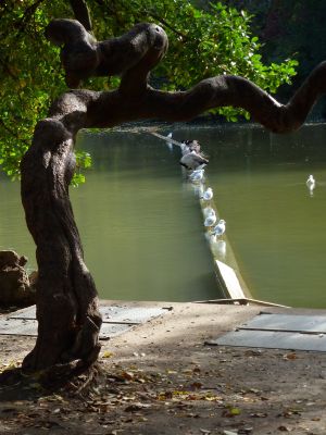 Parc des Buttes Chaumont 110