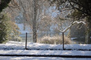 Parc des Buttes Chaumont 80