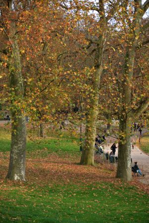 Parc des Buttes Chaumont 69