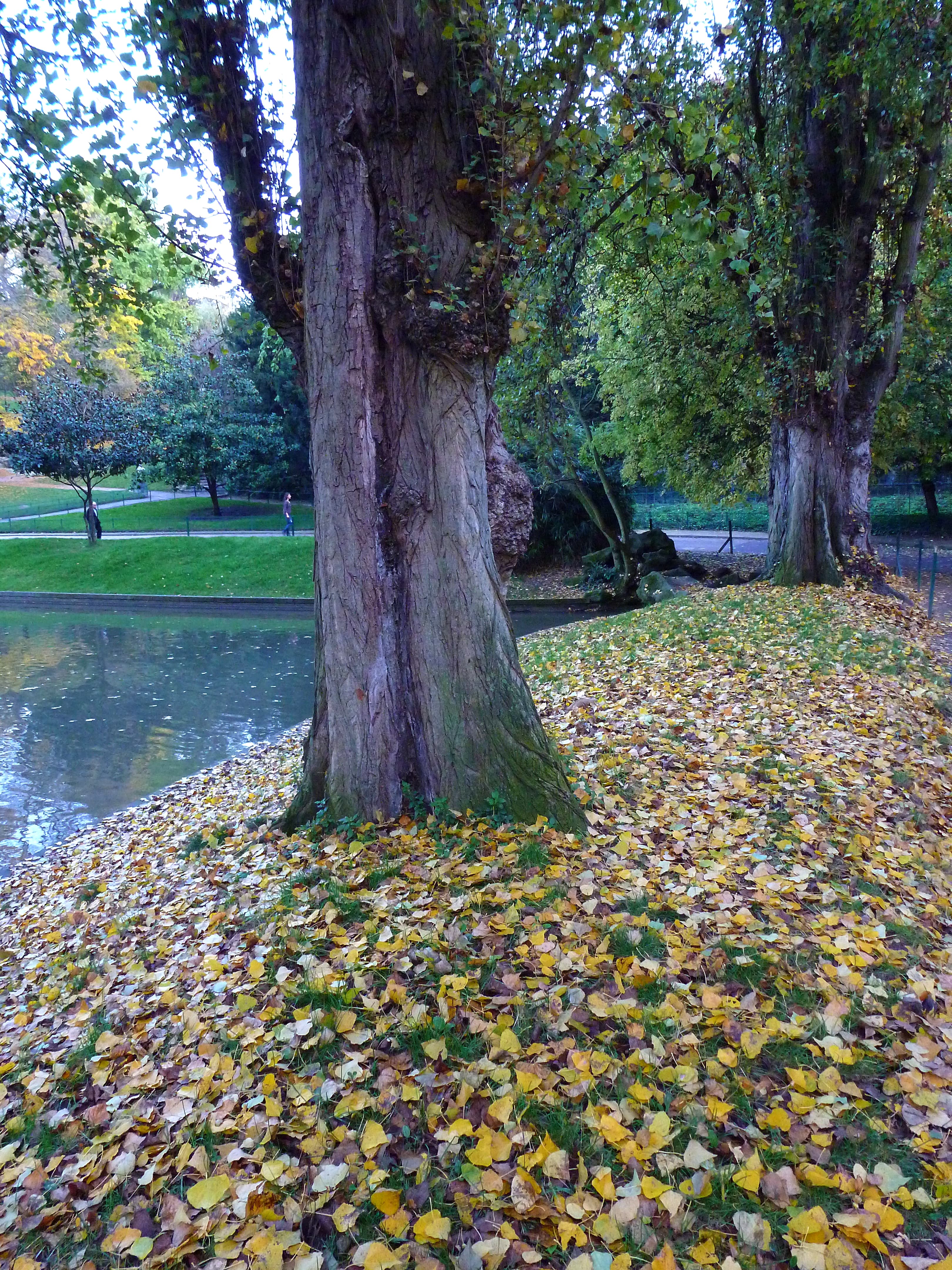 Parc des Buttes Chaumont 100
