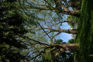 Parc des Buttes Chaumont 70
