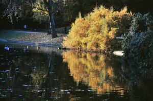 Parc des Buttes Chaumont 63