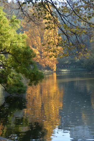Parc des Buttes Chaumont 59