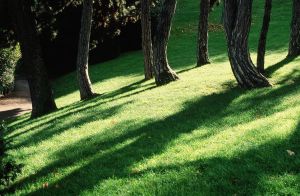 Parc des Buttes Chaumont 19