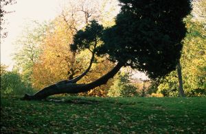Parc des Buttes Chaumont 11