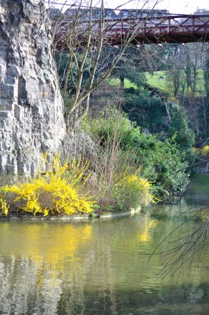 Parc des Buttes Chaumont 46