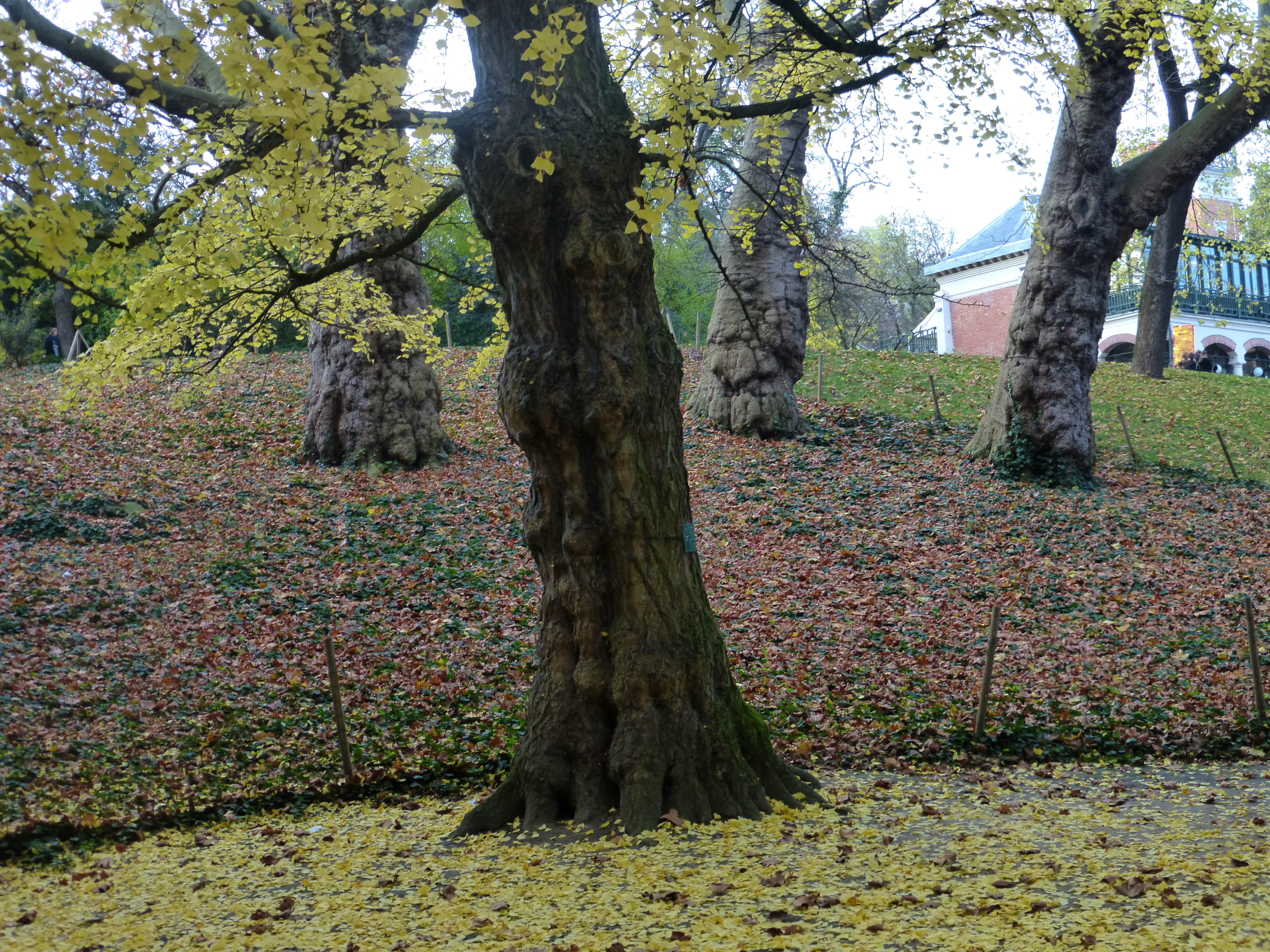 Parc des Buttes Chaumont 132