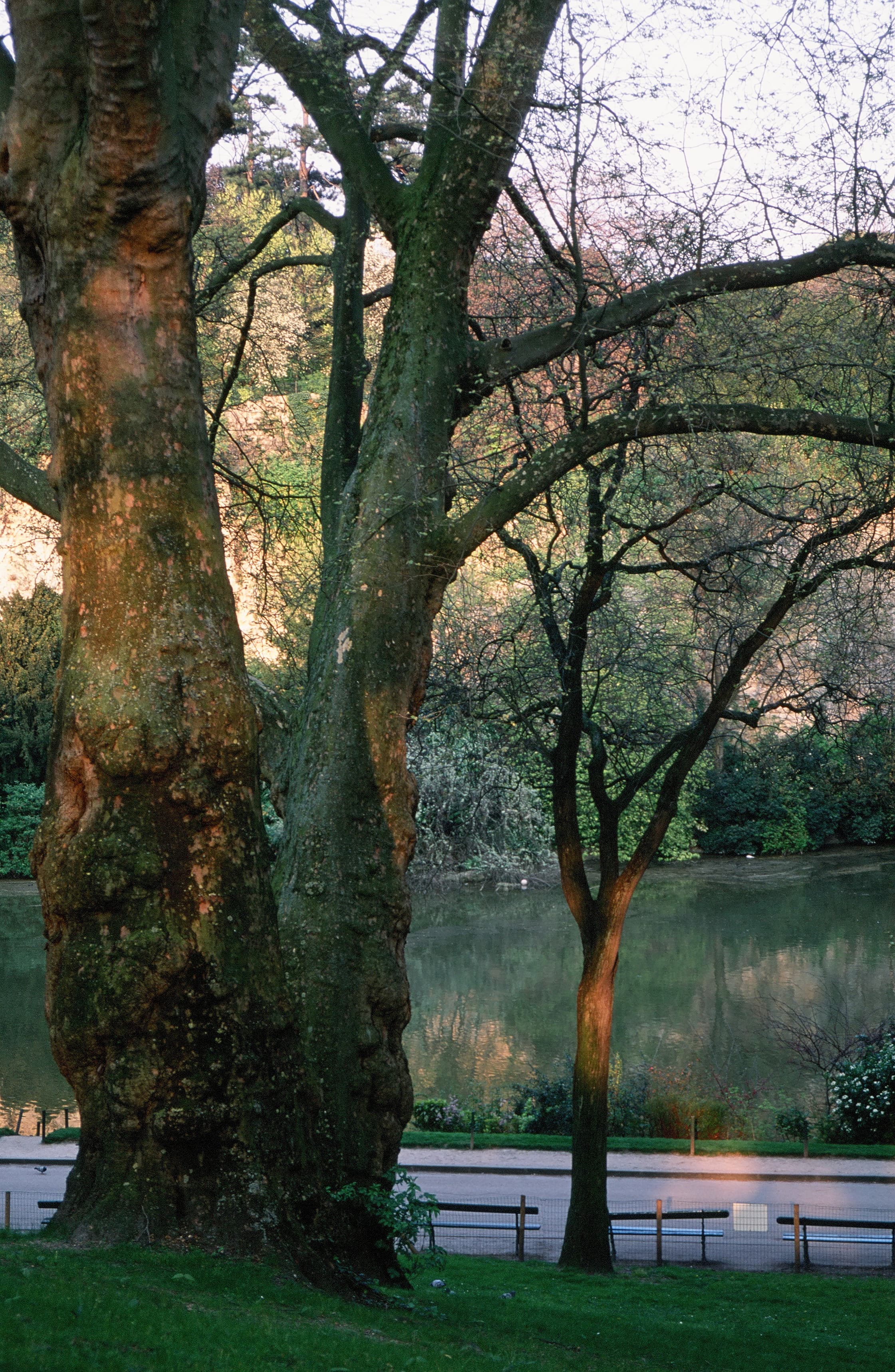 Parc des Buttes Chaumont 2