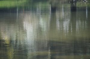 Parc des Buttes Chaumont 53