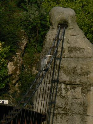 Parc des Buttes Chaumont 141
