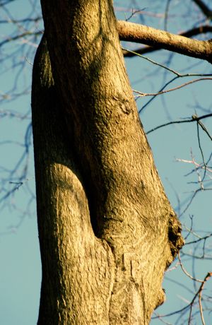 Parc des Buttes Chaumont 29