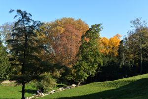 Parc des Buttes Chaumont 39