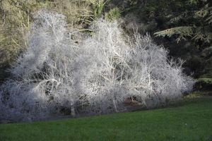 Parc des Buttes Chaumont 72