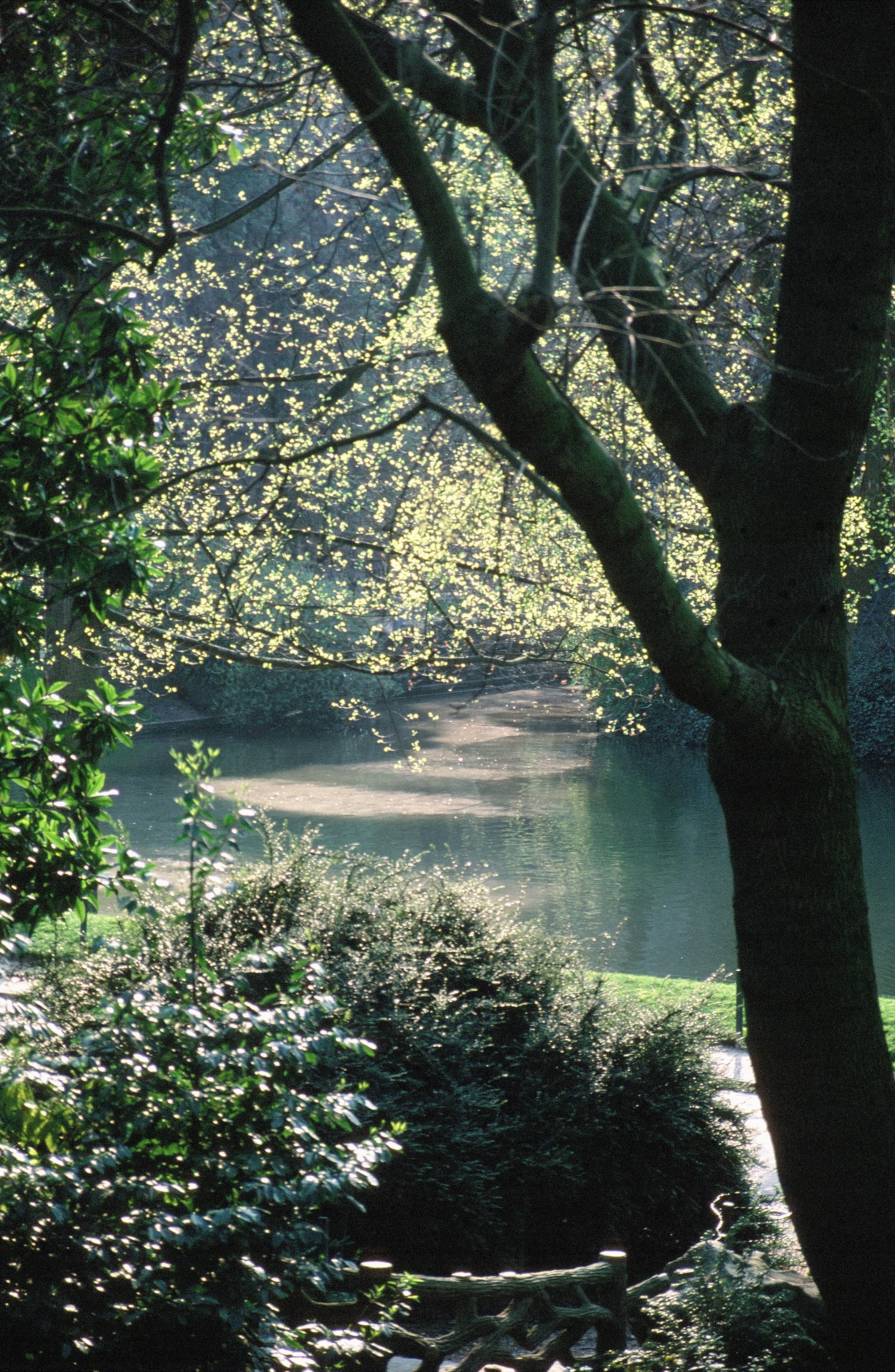 Parc des Buttes Chaumont 1