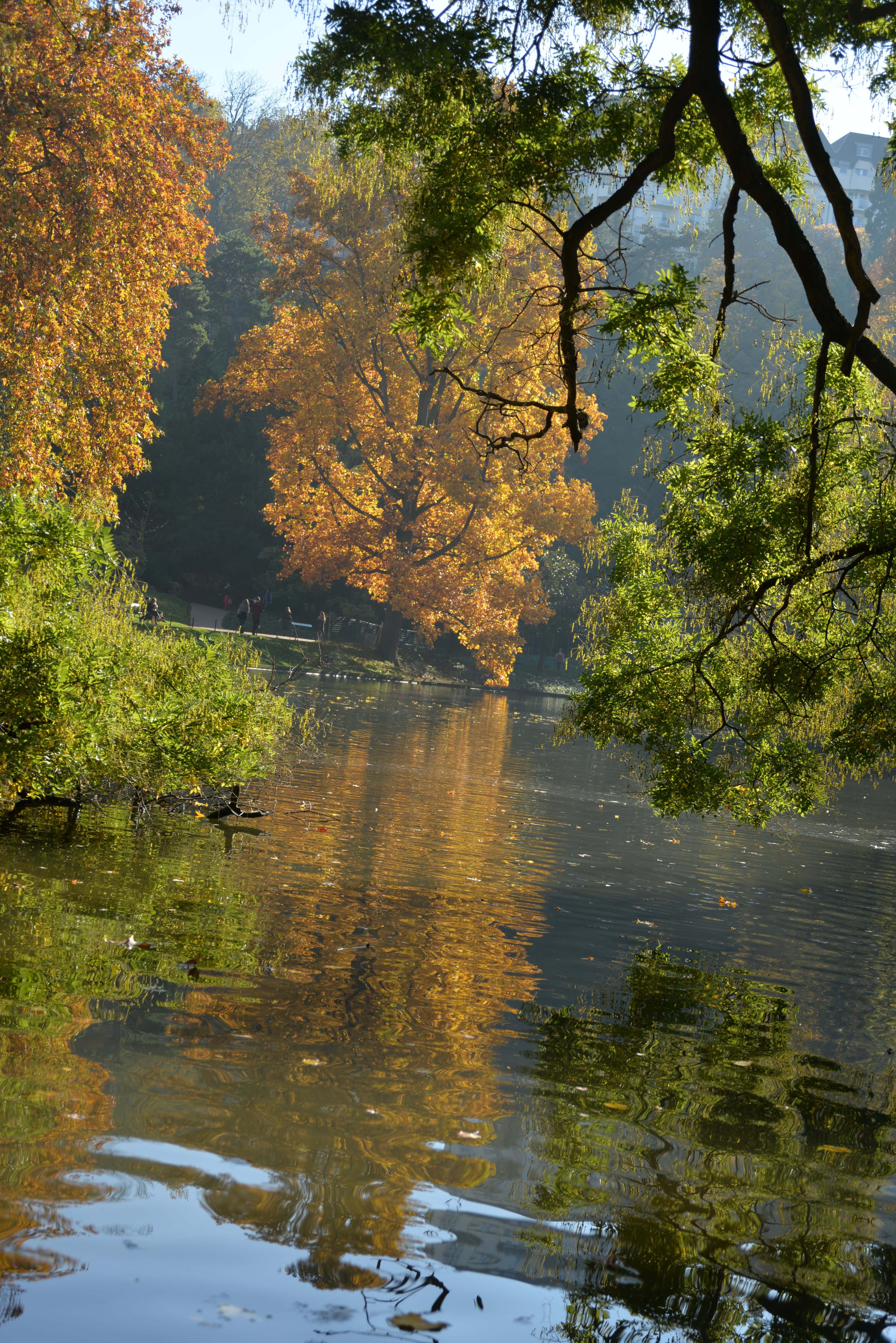 Parc des Buttes Chaumont 58