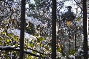 Parc des Buttes Chaumont 78