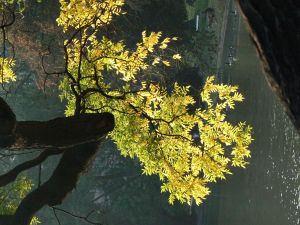 Parc des Buttes Chaumont 149