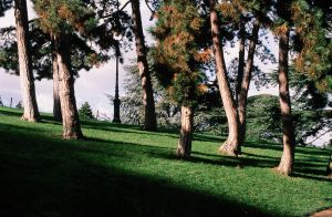 Parc des Buttes Chaumont 3