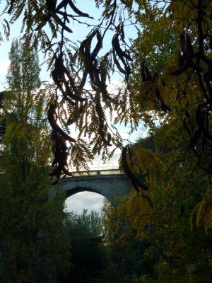 Parc des Buttes Chaumont 97